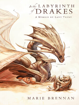 cover image of In the Labyrinth of Drakes